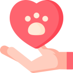 adoption.png adoption.png