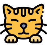 gato-pelo gato-pelo